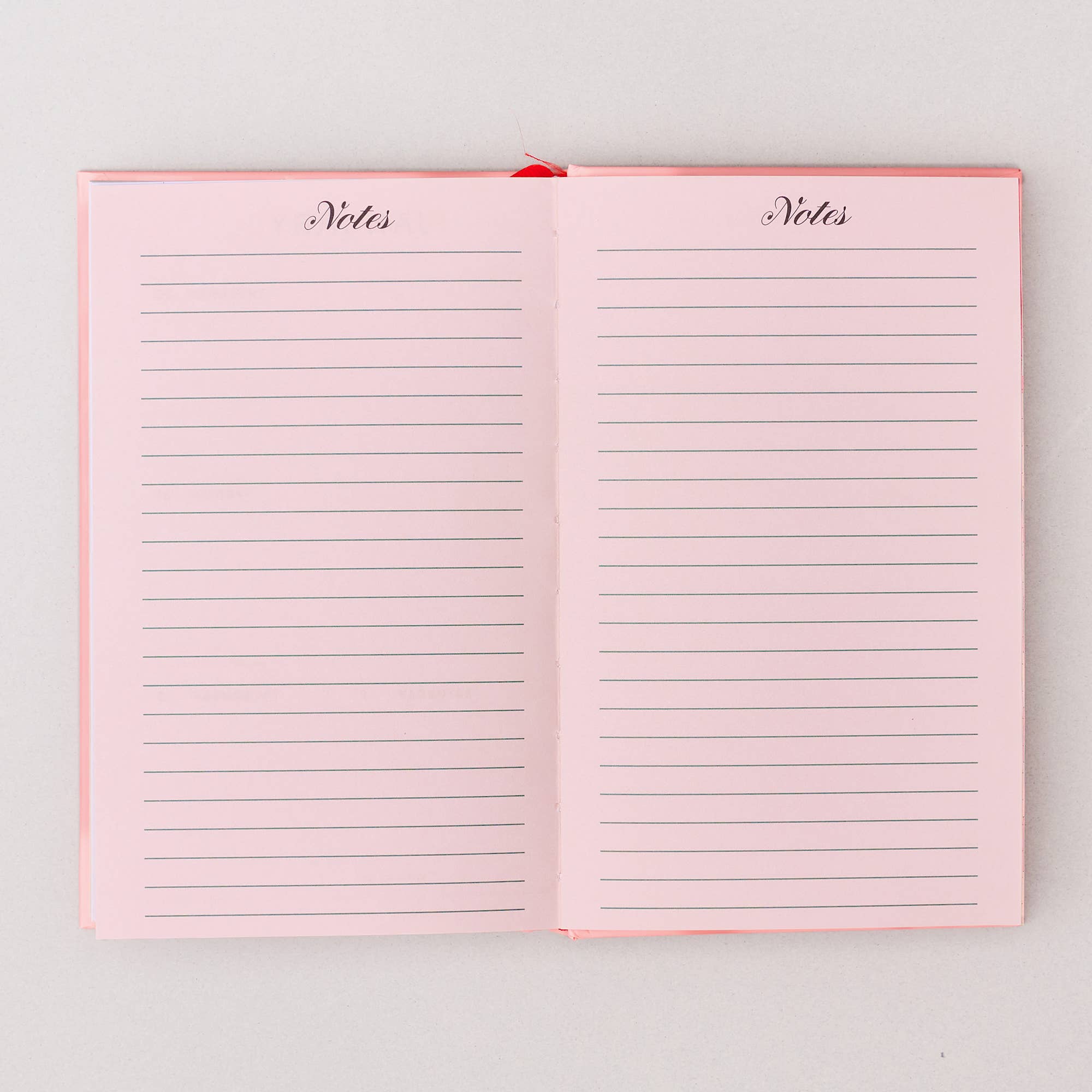 Classic 17-Month Academic Planner, Bonjour - Pink