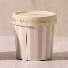 Havana Vanilla Gelato Cup