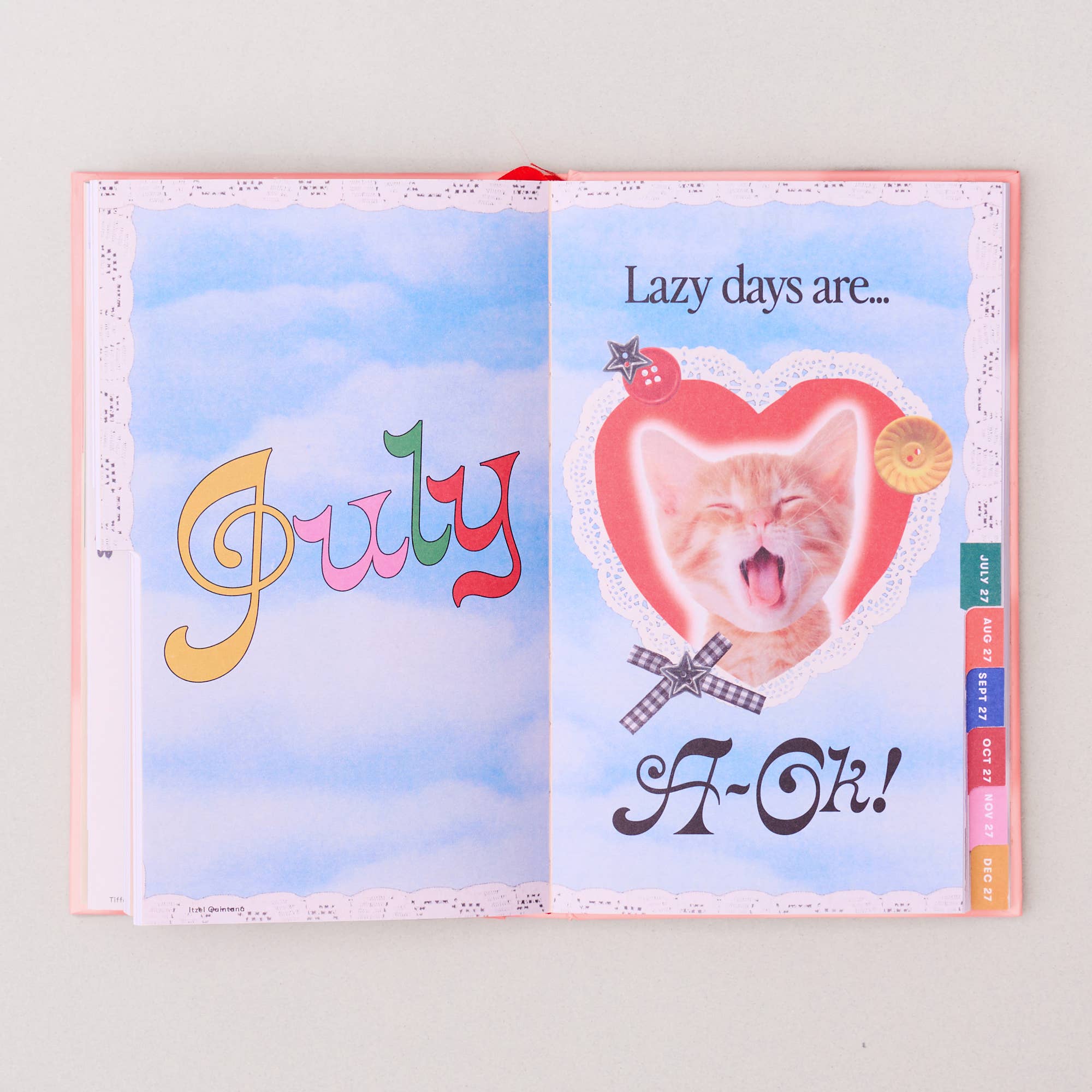Classic 17-Month Academic Planner, Bonjour - Pink