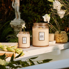 Jasmine Midnight Blooms Small Jar Candle